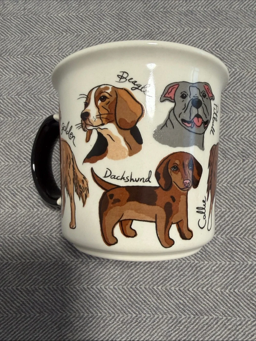 New! Corona Ceramic Dog Portrait Mug in Cream with Brown Accents